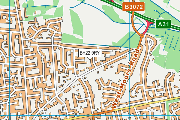 BH22 9RY map - OS VectorMap District (Ordnance Survey)