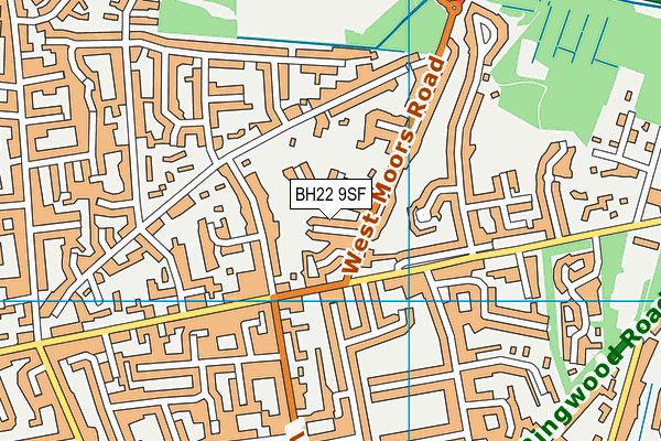BH22 9SF map - OS VectorMap District (Ordnance Survey)