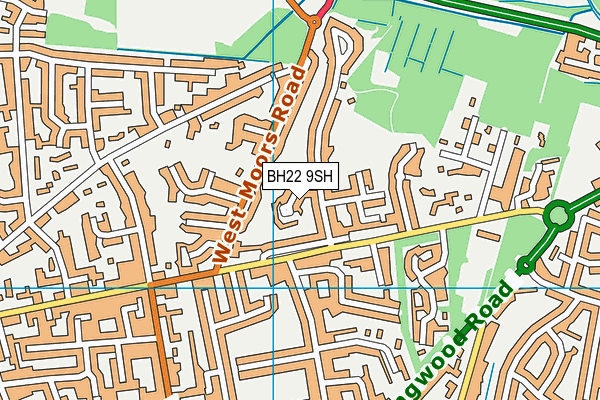 BH22 9SH map - OS VectorMap District (Ordnance Survey)