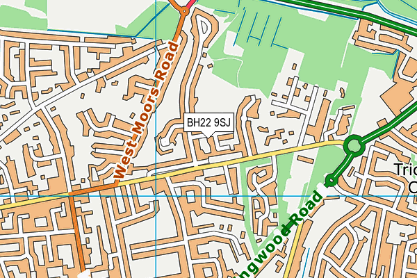 BH22 9SJ map - OS VectorMap District (Ordnance Survey)