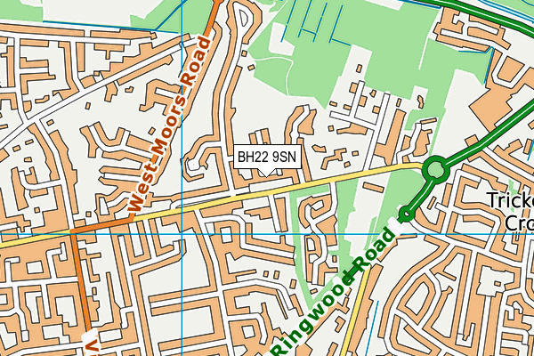 BH22 9SN map - OS VectorMap District (Ordnance Survey)