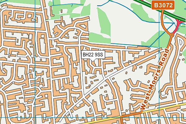 BH22 9SS map - OS VectorMap District (Ordnance Survey)