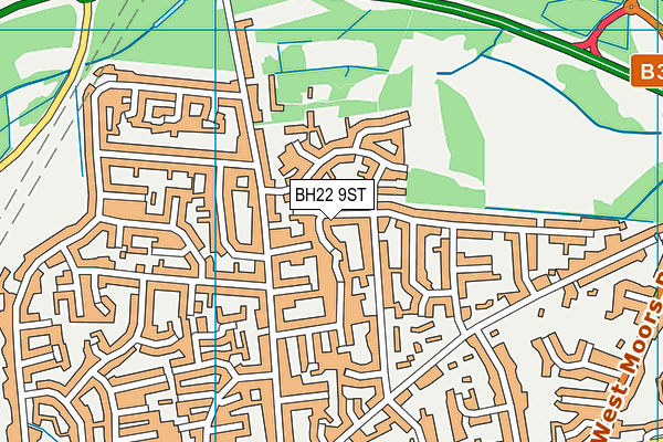 BH22 9ST map - OS VectorMap District (Ordnance Survey)