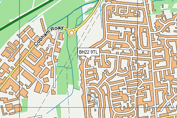 BH22 9TL map - OS VectorMap District (Ordnance Survey)