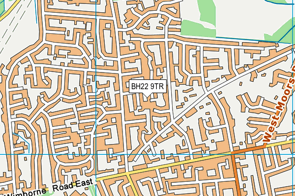 BH22 9TR map - OS VectorMap District (Ordnance Survey)