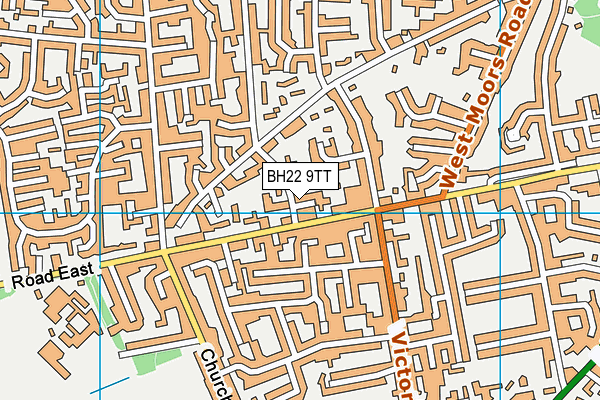 BH22 9TT map - OS VectorMap District (Ordnance Survey)
