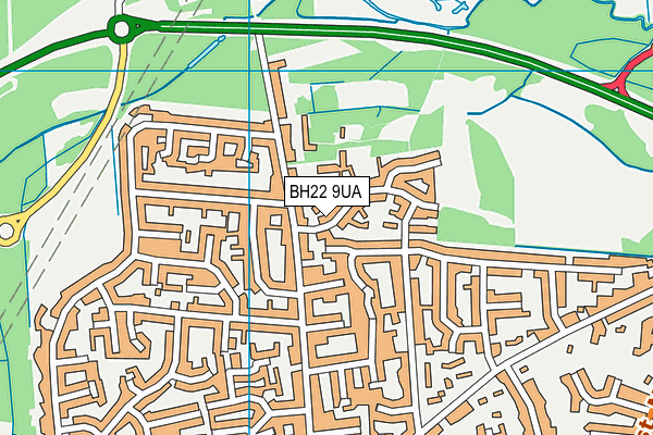 BH22 9UA map - OS VectorMap District (Ordnance Survey)