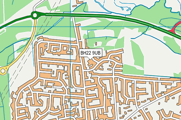BH22 9UB map - OS VectorMap District (Ordnance Survey)