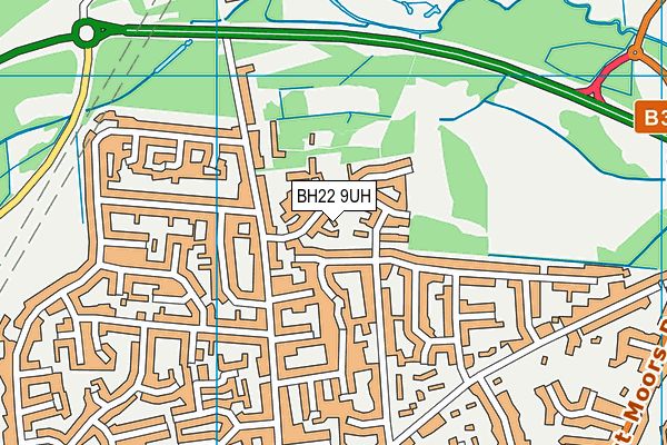BH22 9UH map - OS VectorMap District (Ordnance Survey)