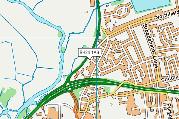 BH24 1AS map - OS VectorMap District (Ordnance Survey)