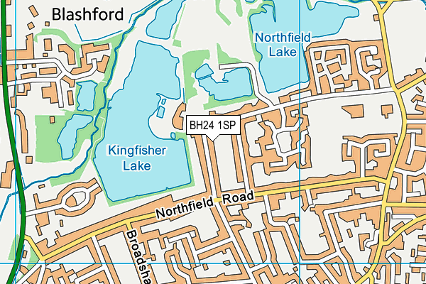 BH24 1SP map - OS VectorMap District (Ordnance Survey)