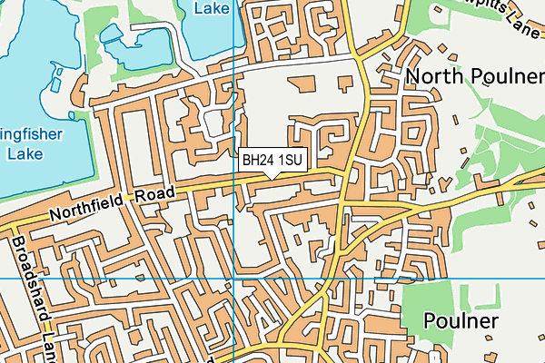 BH24 1SU map - OS VectorMap District (Ordnance Survey)