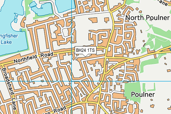 BH24 1TS map - OS VectorMap District (Ordnance Survey)