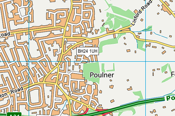 BH24 1UH map - OS VectorMap District (Ordnance Survey)
