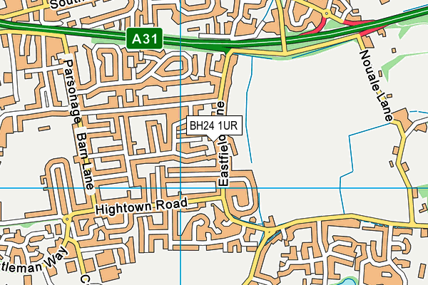 BH24 1UR map - OS VectorMap District (Ordnance Survey)