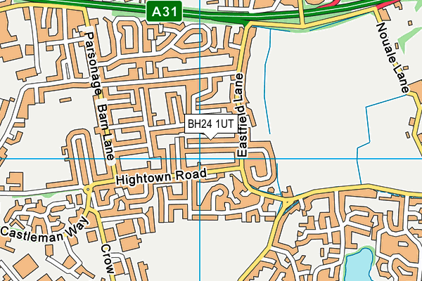 BH24 1UT map - OS VectorMap District (Ordnance Survey)