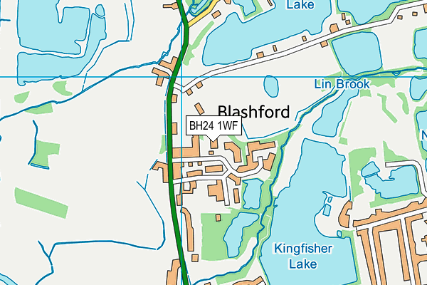 BH24 1WF map - OS VectorMap District (Ordnance Survey)