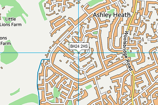 BH24 2HS map - OS VectorMap District (Ordnance Survey)