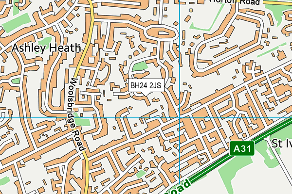 BH24 2JS map - OS VectorMap District (Ordnance Survey)