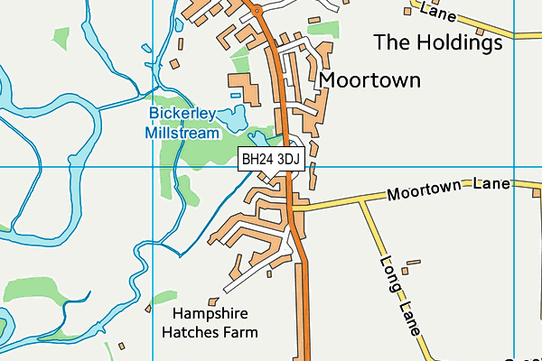 BH24 3DJ map - OS VectorMap District (Ordnance Survey)