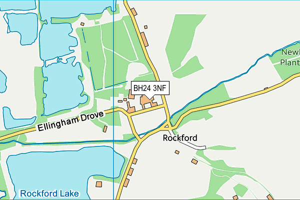 Moyles Court School map (BH24 3NF) - OS VectorMap District (Ordnance Survey)