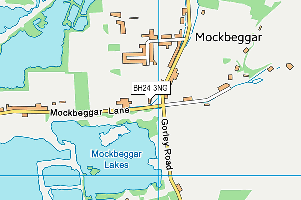 BH24 3NG map - OS VectorMap District (Ordnance Survey)