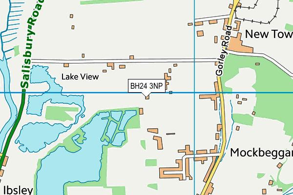 BH24 3NP map - OS VectorMap District (Ordnance Survey)