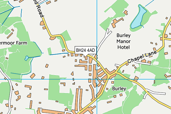 BH24 4AD map - OS VectorMap District (Ordnance Survey)