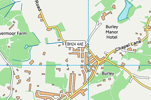 BH24 4AE map - OS VectorMap District (Ordnance Survey)