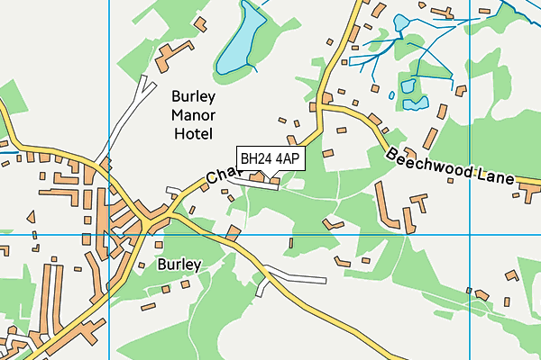BH24 4AP map - OS VectorMap District (Ordnance Survey)