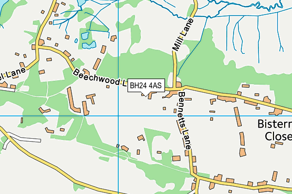 BH24 4AS map - OS VectorMap District (Ordnance Survey)