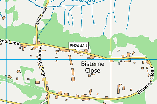 BH24 4AU map - OS VectorMap District (Ordnance Survey)