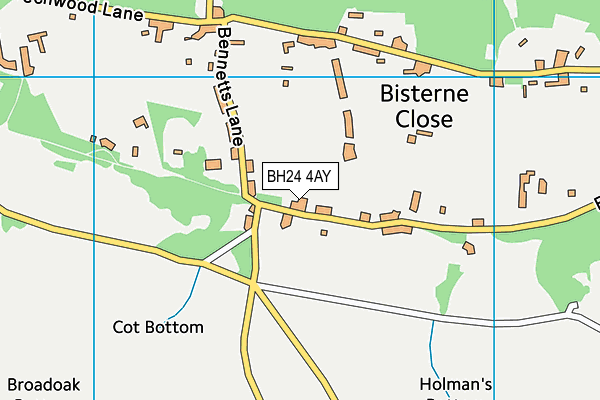 BH24 4AY map - OS VectorMap District (Ordnance Survey)
