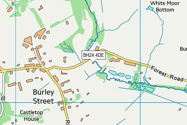 BH24 4DE map - OS VectorMap District (Ordnance Survey)