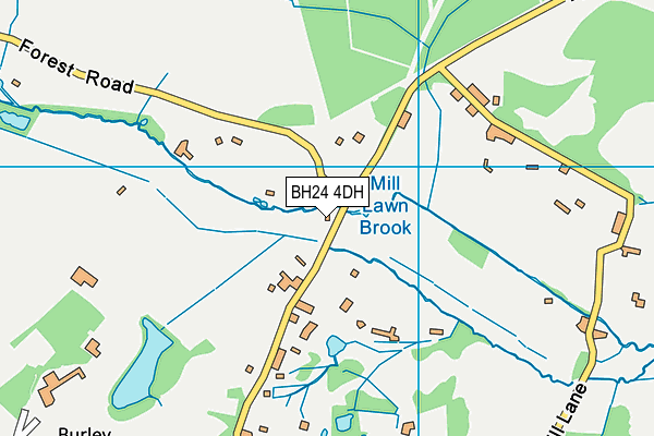 BH24 4DH map - OS VectorMap District (Ordnance Survey)