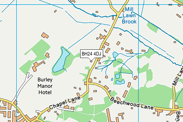 BH24 4DJ map - OS VectorMap District (Ordnance Survey)