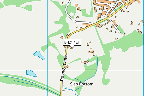 BH24 4EF map - OS VectorMap District (Ordnance Survey)