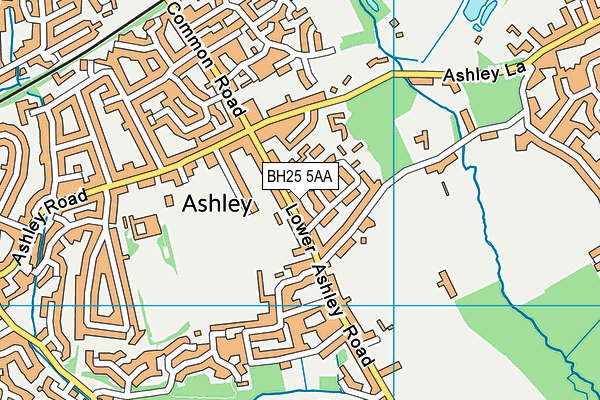 Ashley Infant School map (BH25 5AA) - OS VectorMap District (Ordnance Survey)