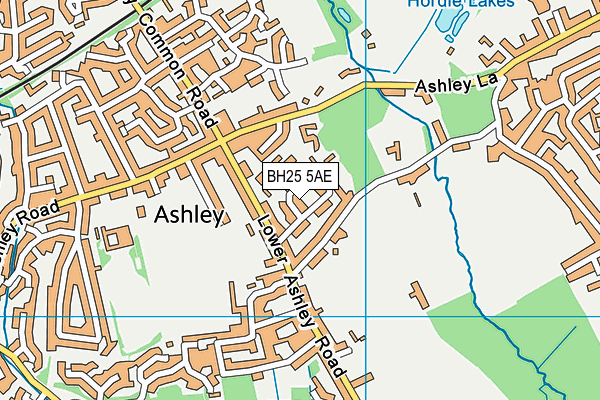 BH25 5AE map - OS VectorMap District (Ordnance Survey)