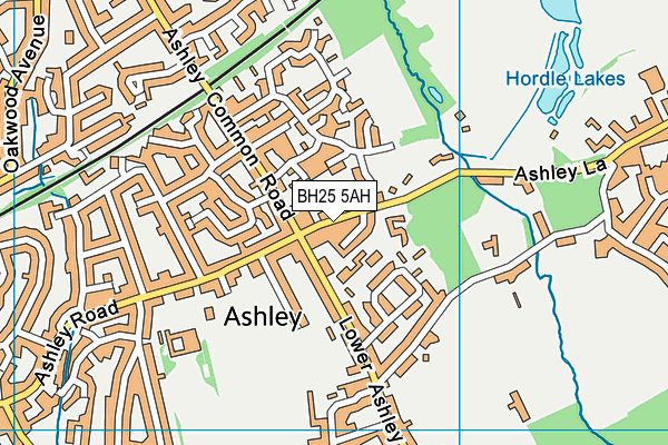 BH25 5AH map - OS VectorMap District (Ordnance Survey)