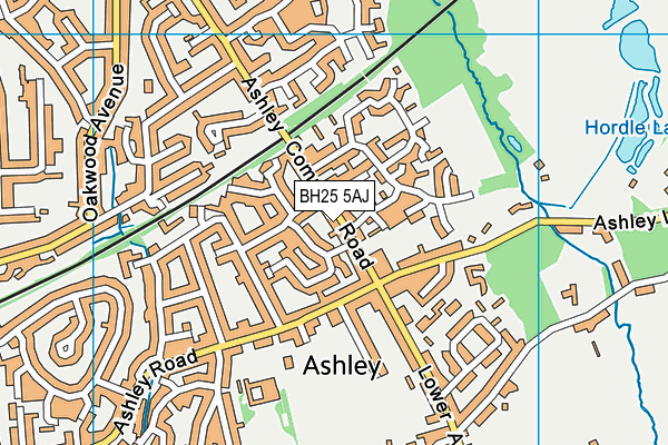 BH25 5AJ map - OS VectorMap District (Ordnance Survey)