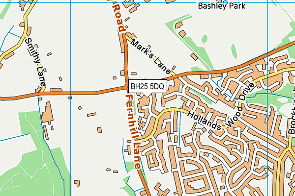BH25 5DQ map - OS VectorMap District (Ordnance Survey)