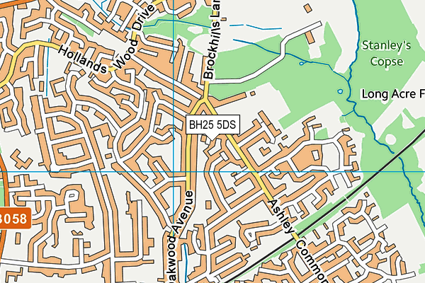 BH25 5DS map - OS VectorMap District (Ordnance Survey)