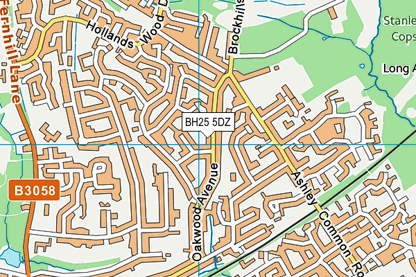 BH25 5DZ map - OS VectorMap District (Ordnance Survey)