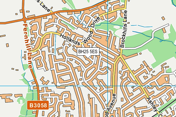 BH25 5ES map - OS VectorMap District (Ordnance Survey)