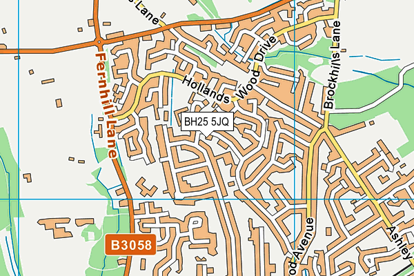 BH25 5JQ map - OS VectorMap District (Ordnance Survey)