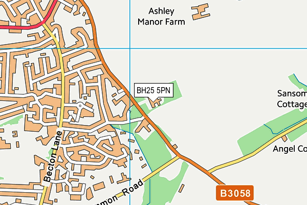 BH25 5PN map - OS VectorMap District (Ordnance Survey)