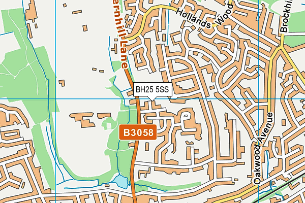 BH25 5SS map - OS VectorMap District (Ordnance Survey)