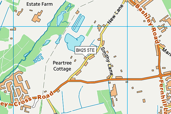 BH25 5TE map - OS VectorMap District (Ordnance Survey)