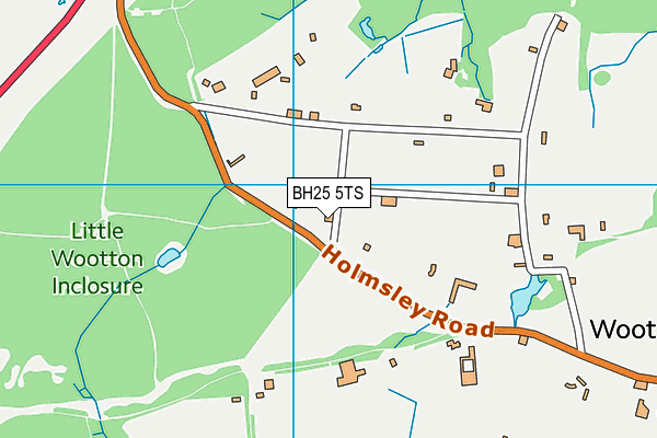 BH25 5TS map - OS VectorMap District (Ordnance Survey)